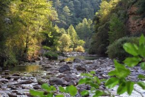 riviere pyrenees