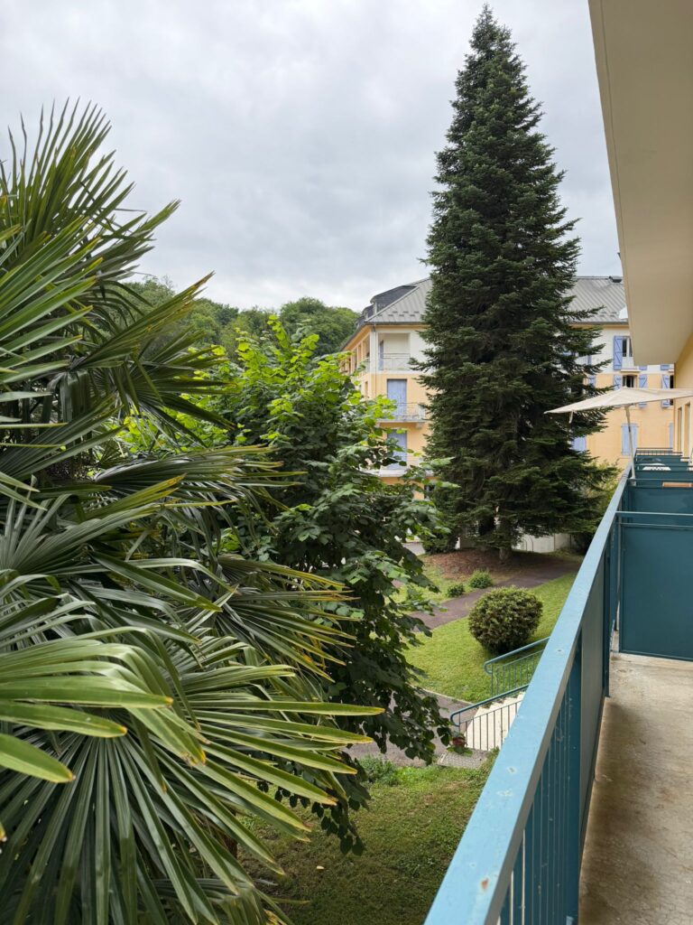 vue depuis la location T2 Capvern